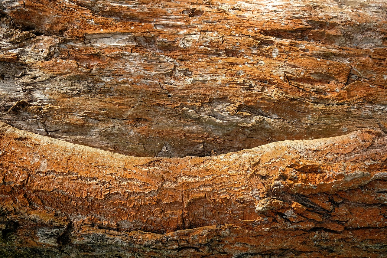 Humidité et infiltration – expertise bâtiment